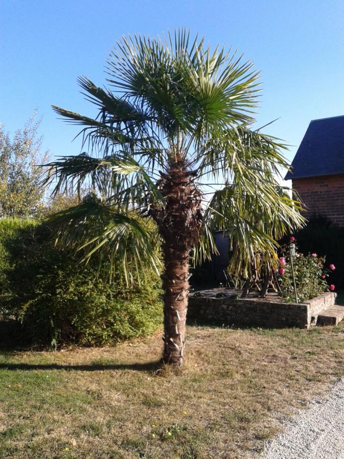 B&B Ferme De La Rouzannerie Pour 2 Ou Famille Lanneray 外观 照片