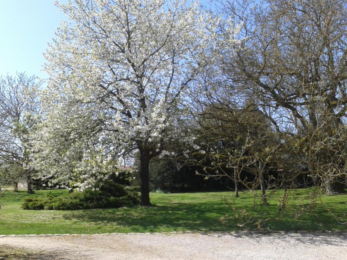 B&B Ferme De La Rouzannerie Pour 2 Ou Famille Lanneray 外观 照片