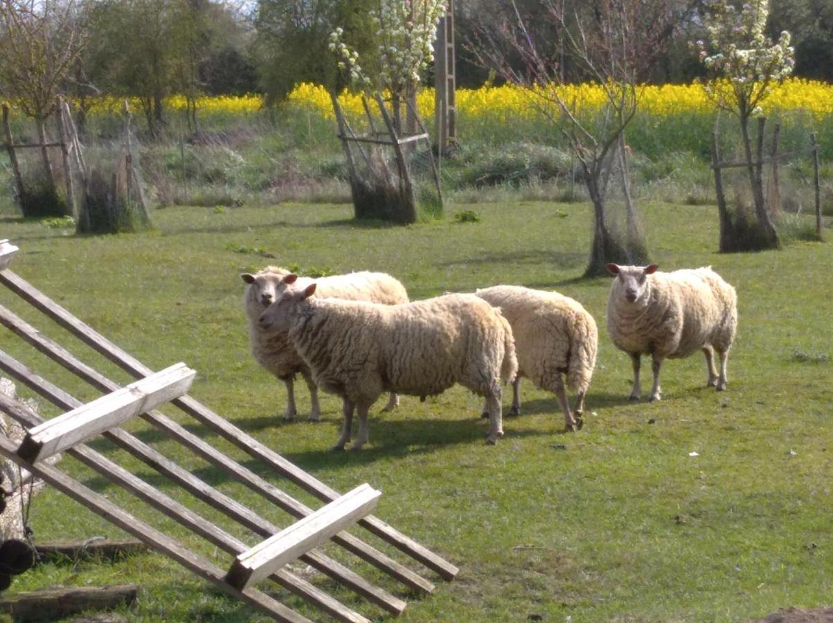 B&B Ferme De La Rouzannerie Pour 2 Ou Famille Lanneray 外观 照片